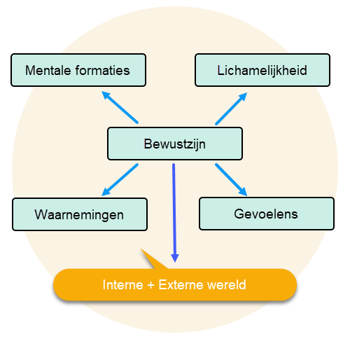 De vijf groepen van hechten.