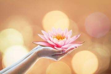 De Dhamma is voor iedereen die gewillig is om te leren.